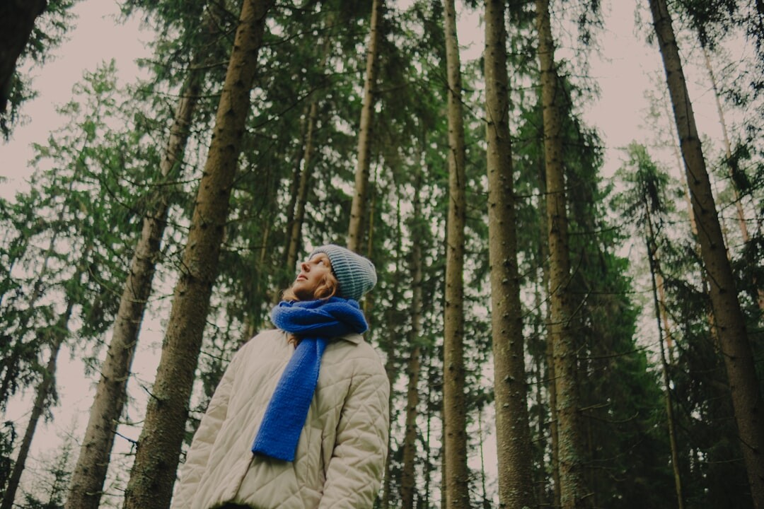 person walking in misty forest
