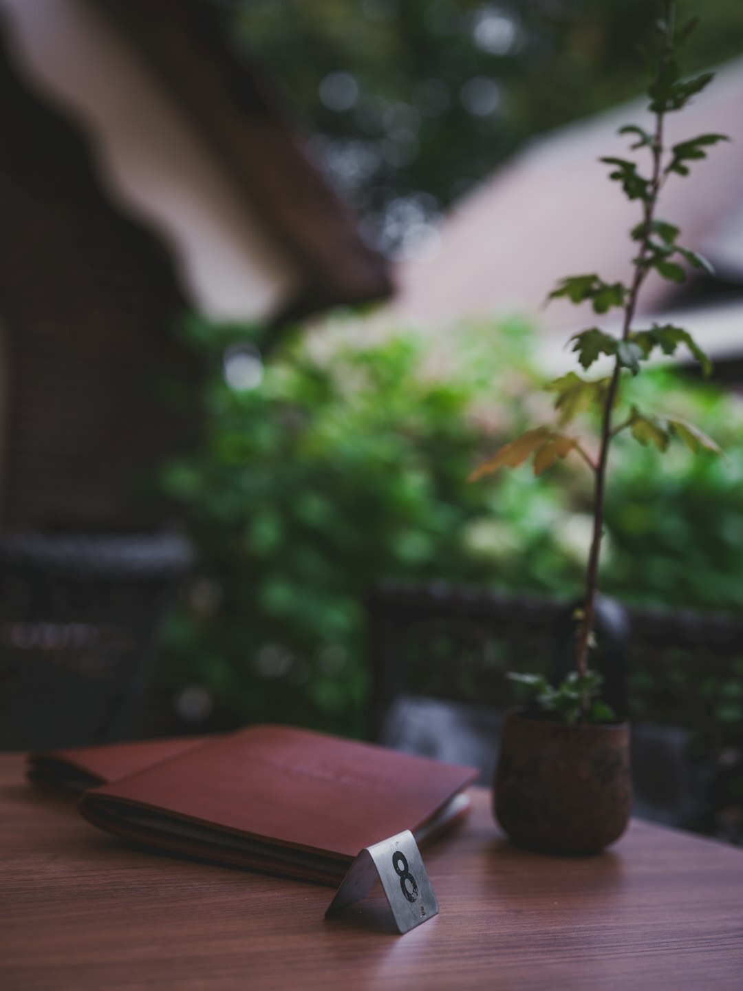 spy novel on table